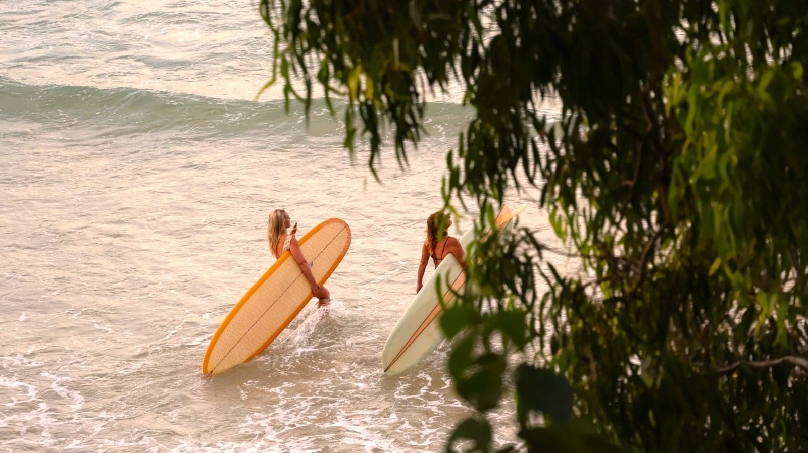 Dos surfistas entrando al agua con sus longboards, bajo un árbol.
