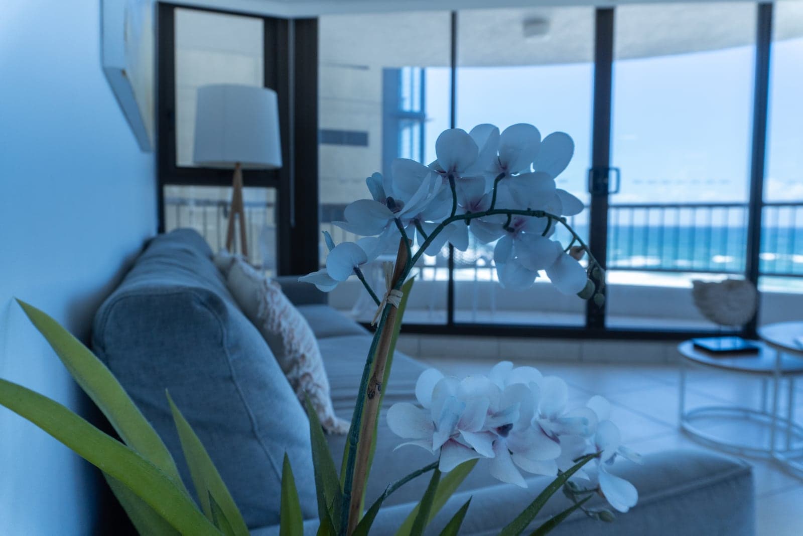Una orquídea blanca frente a un sillón, con el mar detrás de los ventanales — Boulevard North.